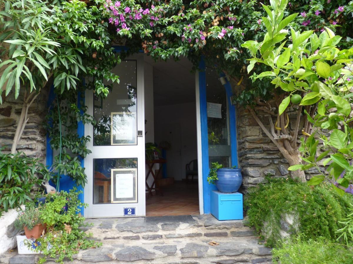 Appartamento La Grande Bleue Banyuls-sur-Mer Esterno foto